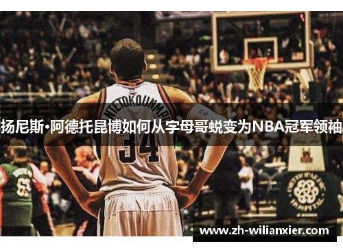 扬尼斯·阿德托昆博如何从字母哥蜕变为NBA冠军领袖